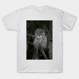 Great Gray Owl T-Shirt